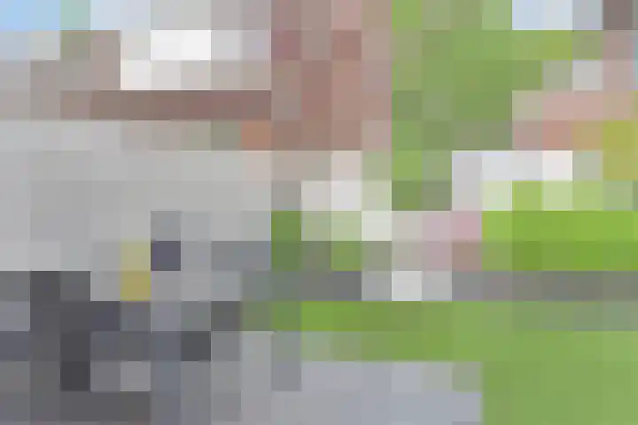 Laan van de Mensenrechten 18 Den Haag thumbnail 38
