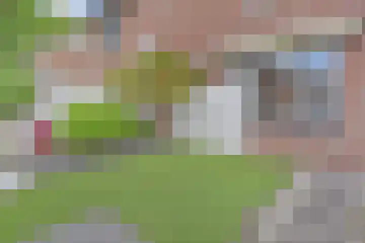 Laan van de Mensenrechten 18 Den Haag thumbnail 39