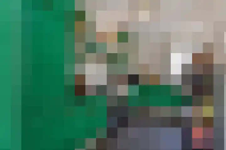 Laan van de Mensenrechten 212 Den Haag thumbnail 11