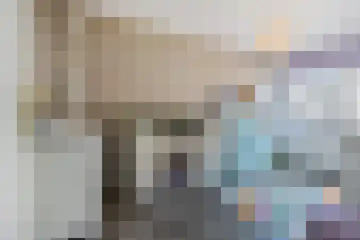 Laan van de Mensenrechten 212 Den Haag thumbnail 17