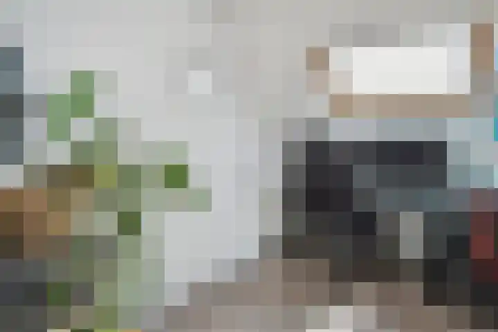 Laan van de Mensenrechten 212 Den Haag thumbnail 20