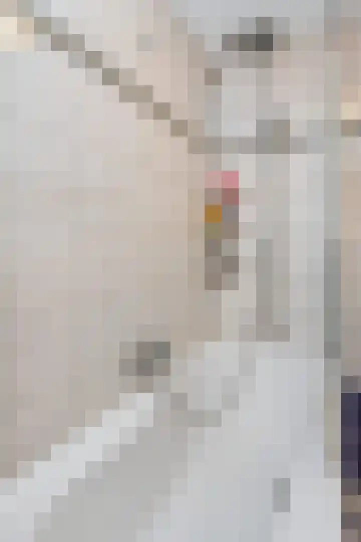 Laan van de Mensenrechten 212 Den Haag thumbnail 27