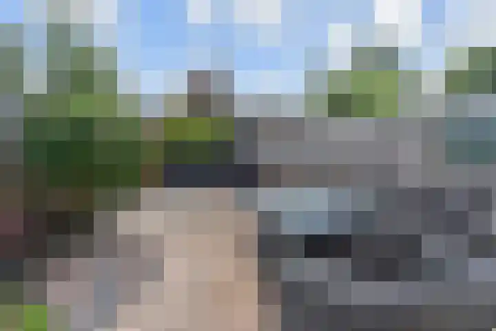 Laan van de Mensenrechten 212 Den Haag thumbnail 31