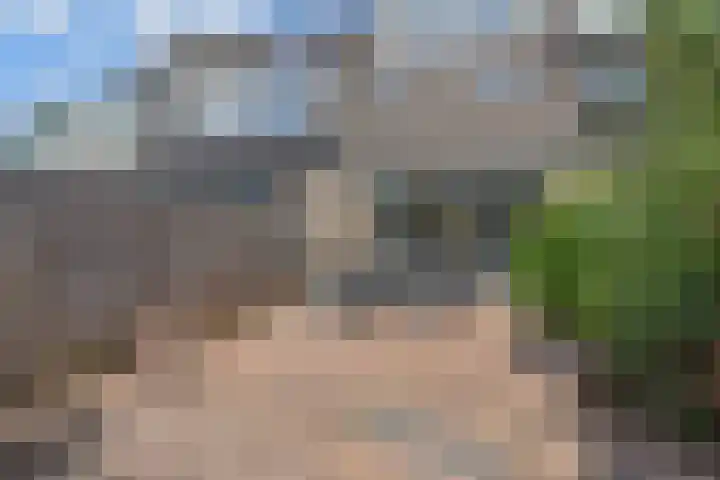 Laan van de Mensenrechten 212 Den Haag thumbnail 33