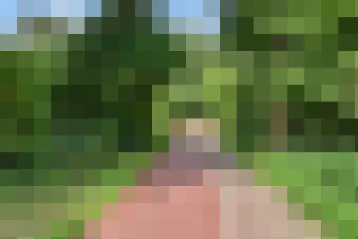 Laan van de Mensenrechten 212 Den Haag thumbnail 34