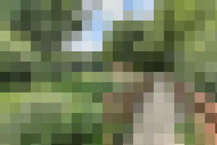 Laan van de Mensenrechten 212 Den Haag thumbnail 35