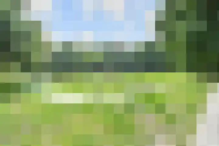 Laan van de Mensenrechten 212 Den Haag thumbnail 36