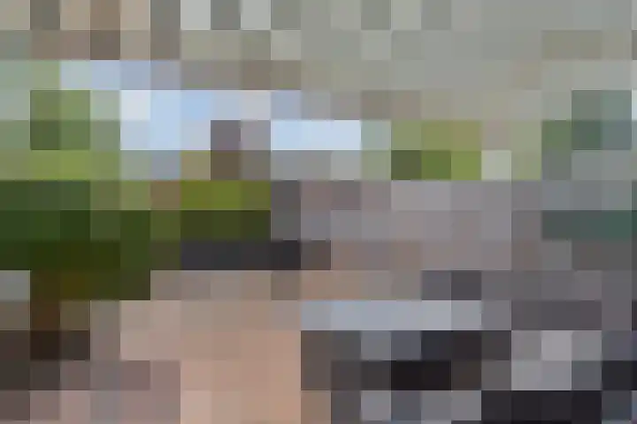 Laan van de Mensenrechten 212 Den Haag thumbnail 4