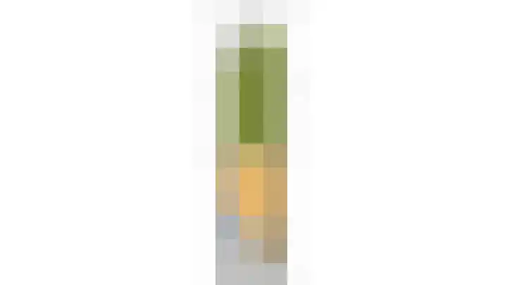Laan van de Mensenrechten 212 Den Haag thumbnail 42