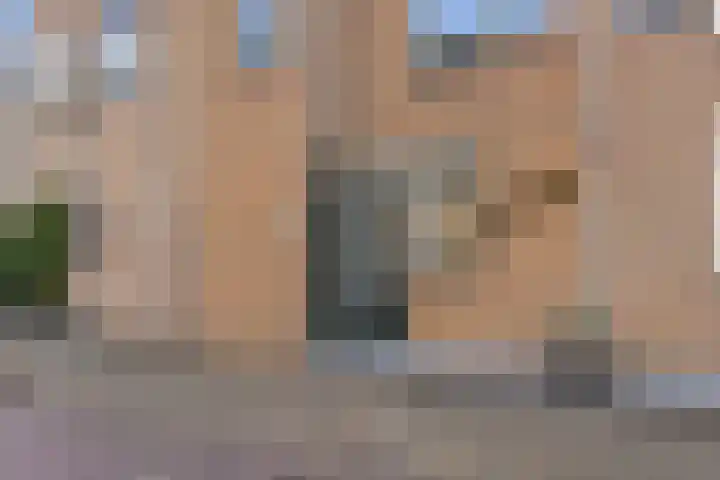 Laan van de Mensenrechten 212 Den Haag thumbnail 5
