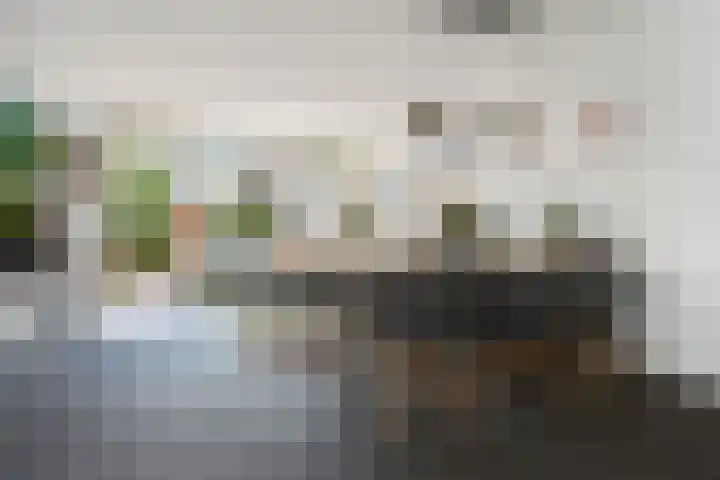 Laan van de Mensenrechten 212 Den Haag thumbnail 8