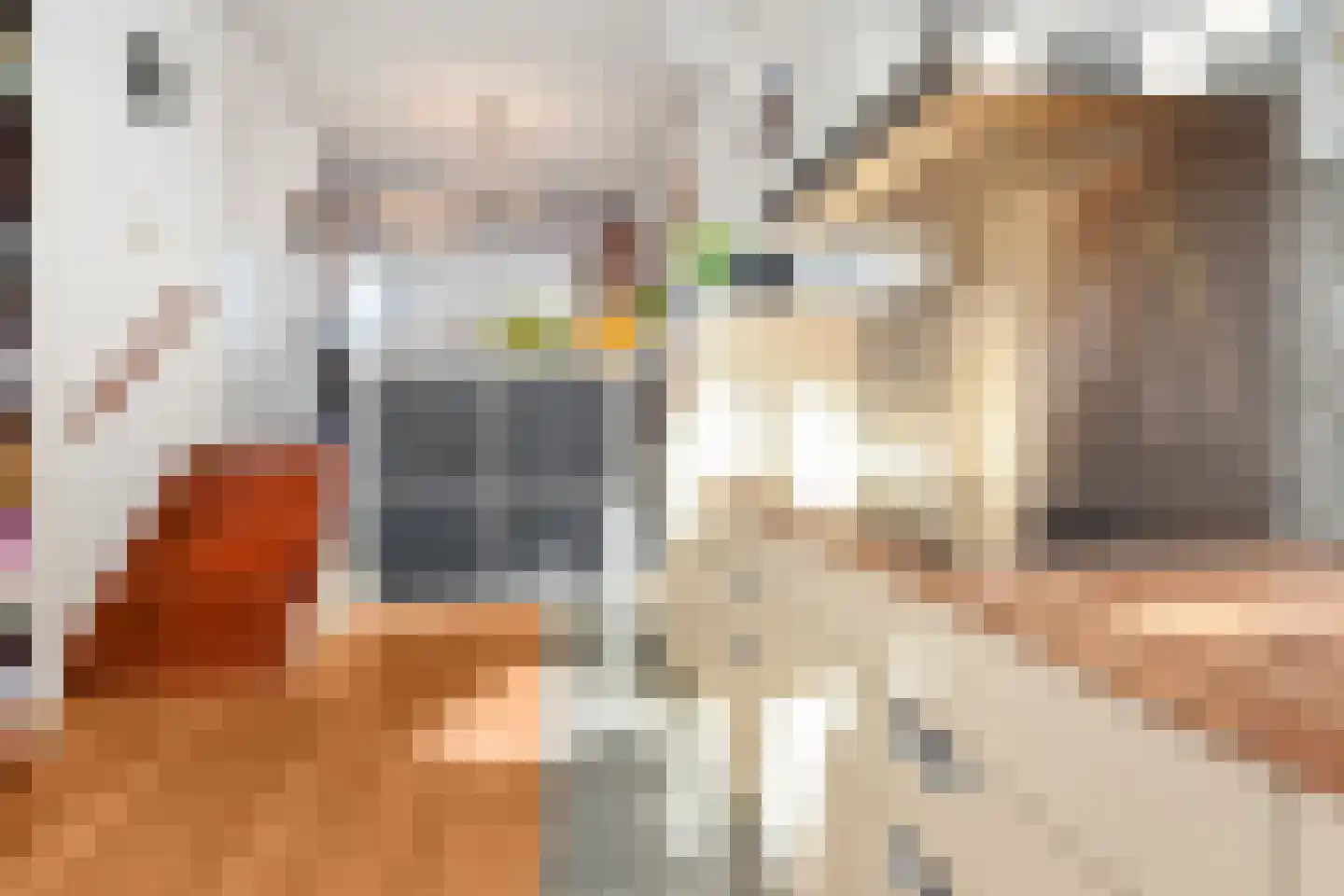 Laan van de Mensenrechten 25 Den Haag thumbnail 11