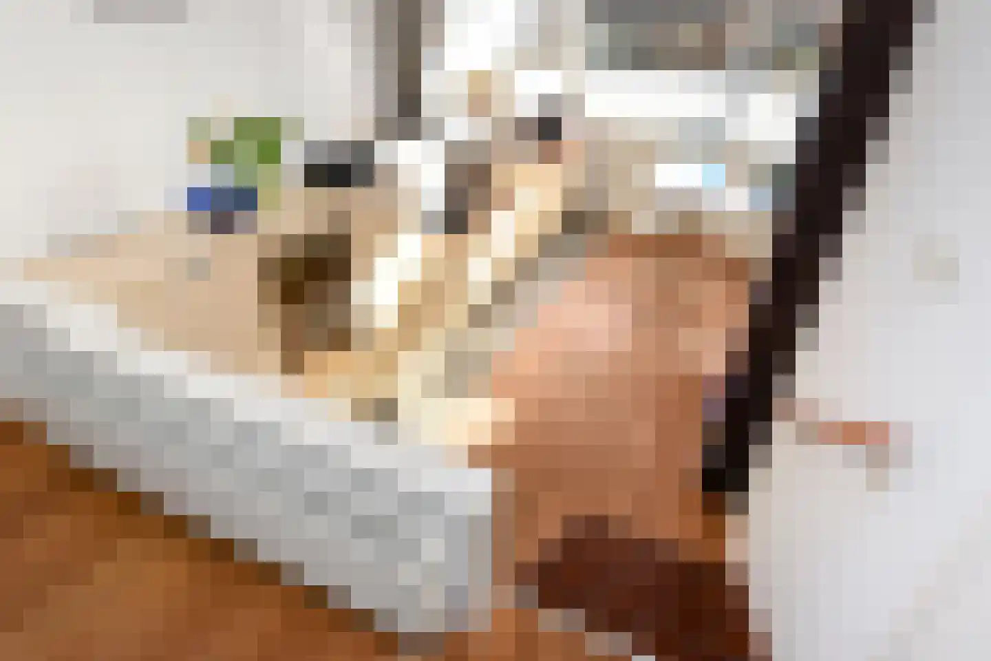 Laan van de Mensenrechten 25 Den Haag thumbnail 12