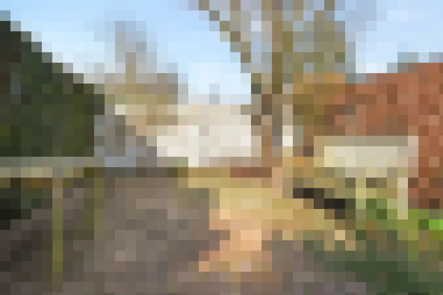 Laan van de Mensenrechten 25 Den Haag thumbnail 22