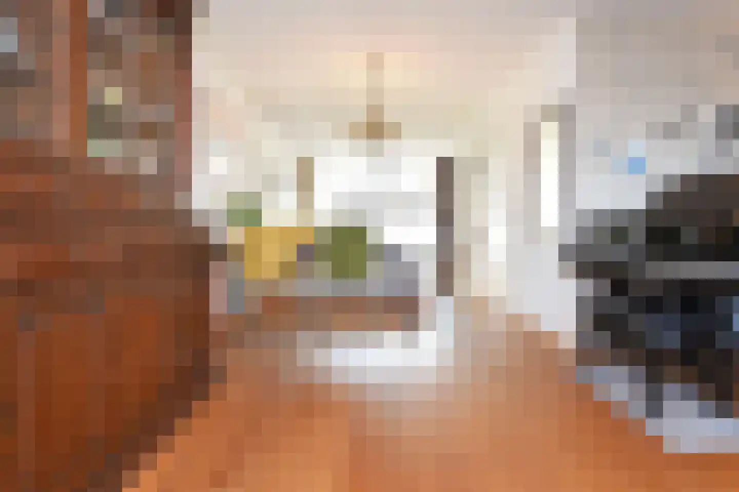 Laan van de Mensenrechten 25 Den Haag thumbnail 26