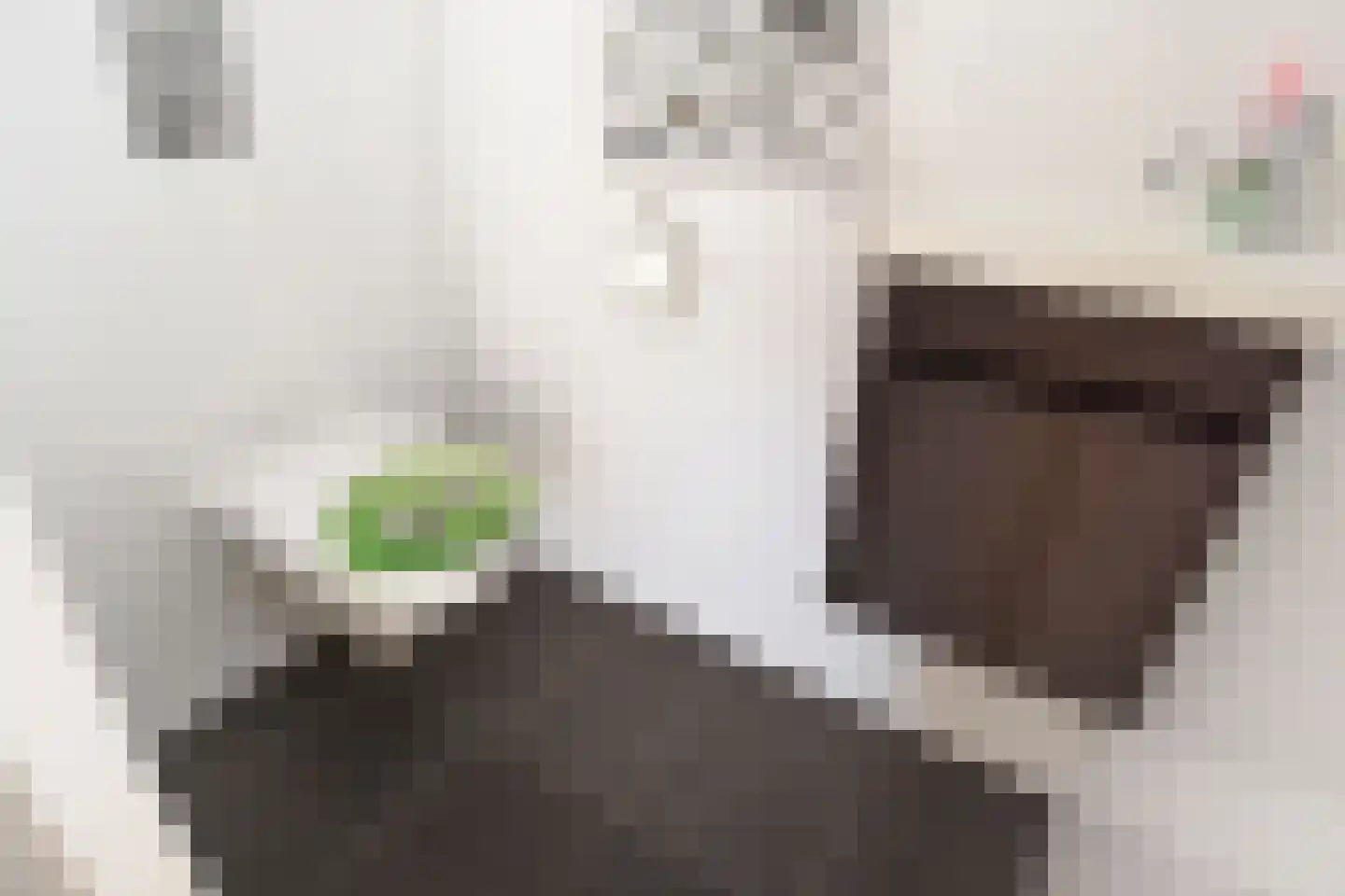 Laan van de Mensenrechten 25 Den Haag thumbnail 37