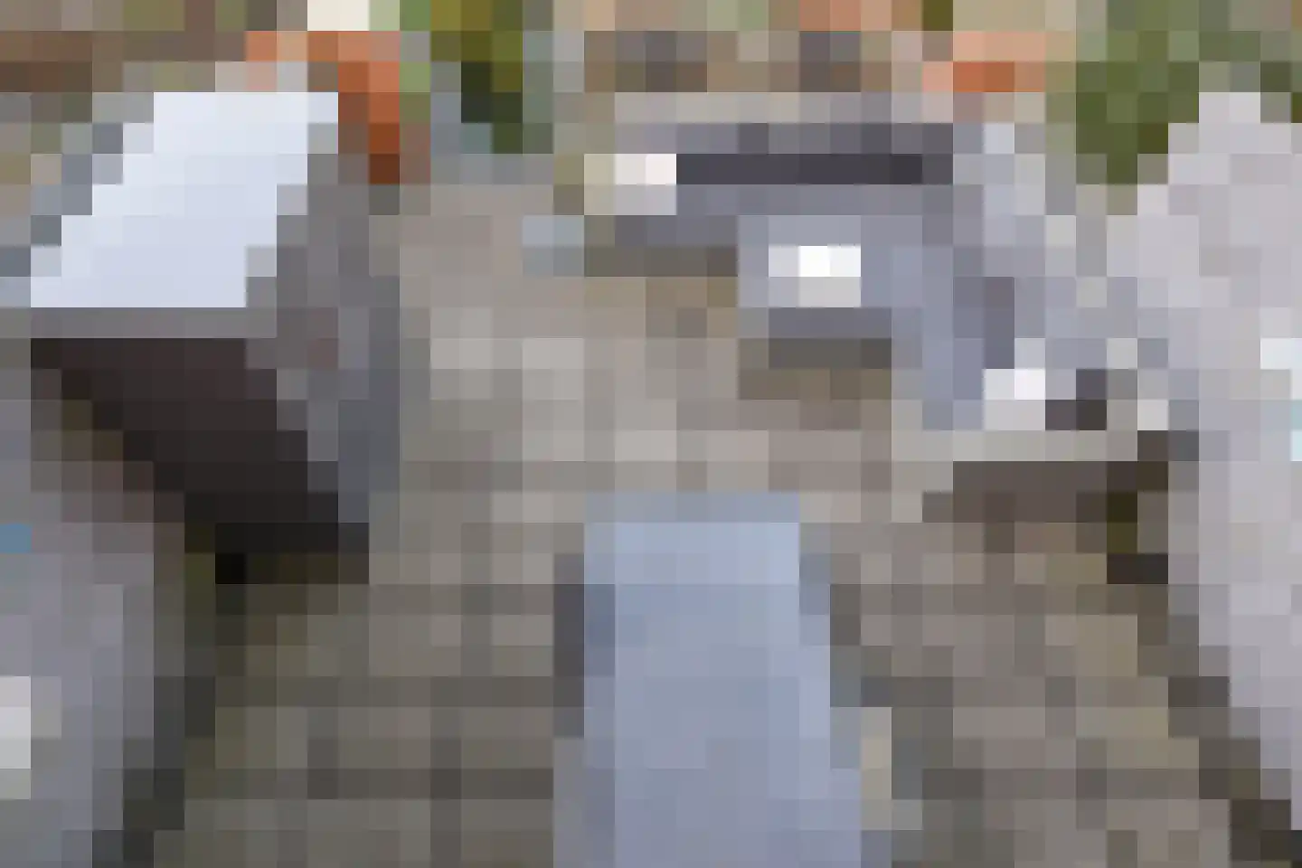 Laan van de Mensenrechten 25 Den Haag thumbnail 39