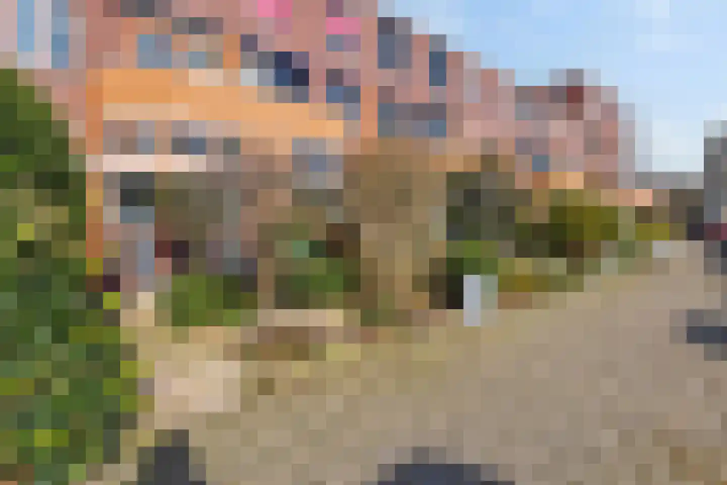 Laan van de Mensenrechten 25 Den Haag thumbnail 4