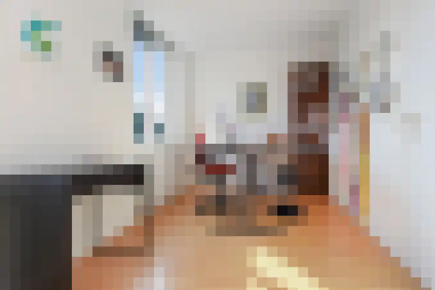 Laan van de Mensenrechten 25 Den Haag thumbnail 45