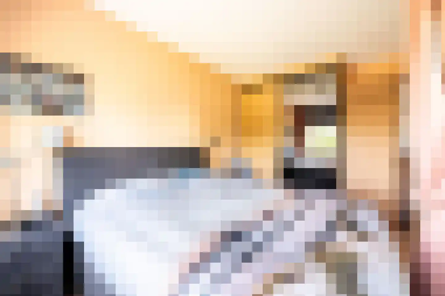 Laan van de Mensenrechten 336 Apeldoorn thumbnail 15