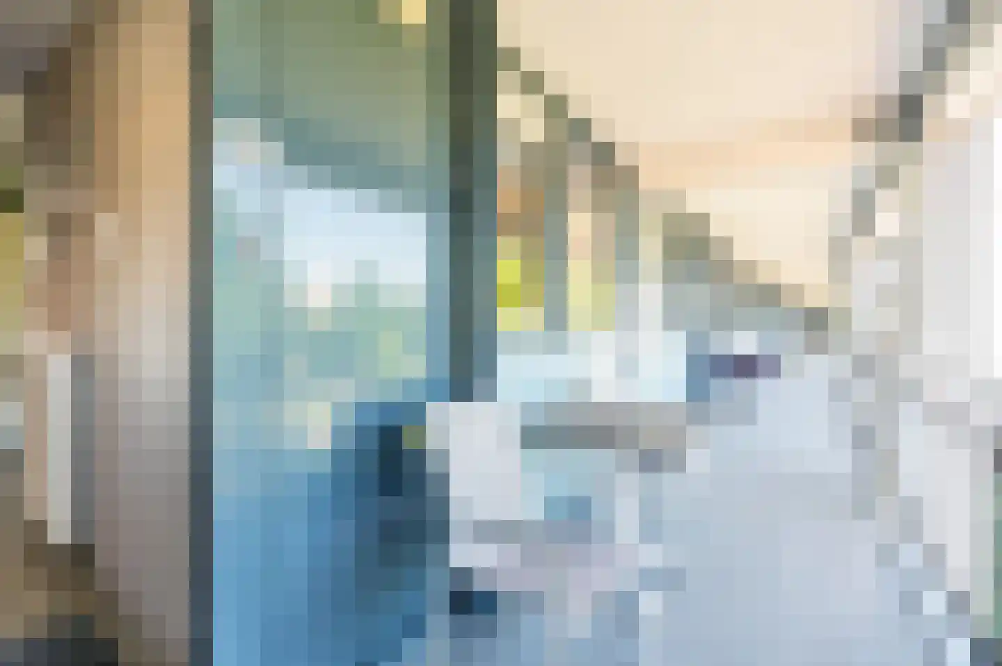 Laan van de Mensenrechten 336 Apeldoorn thumbnail 18