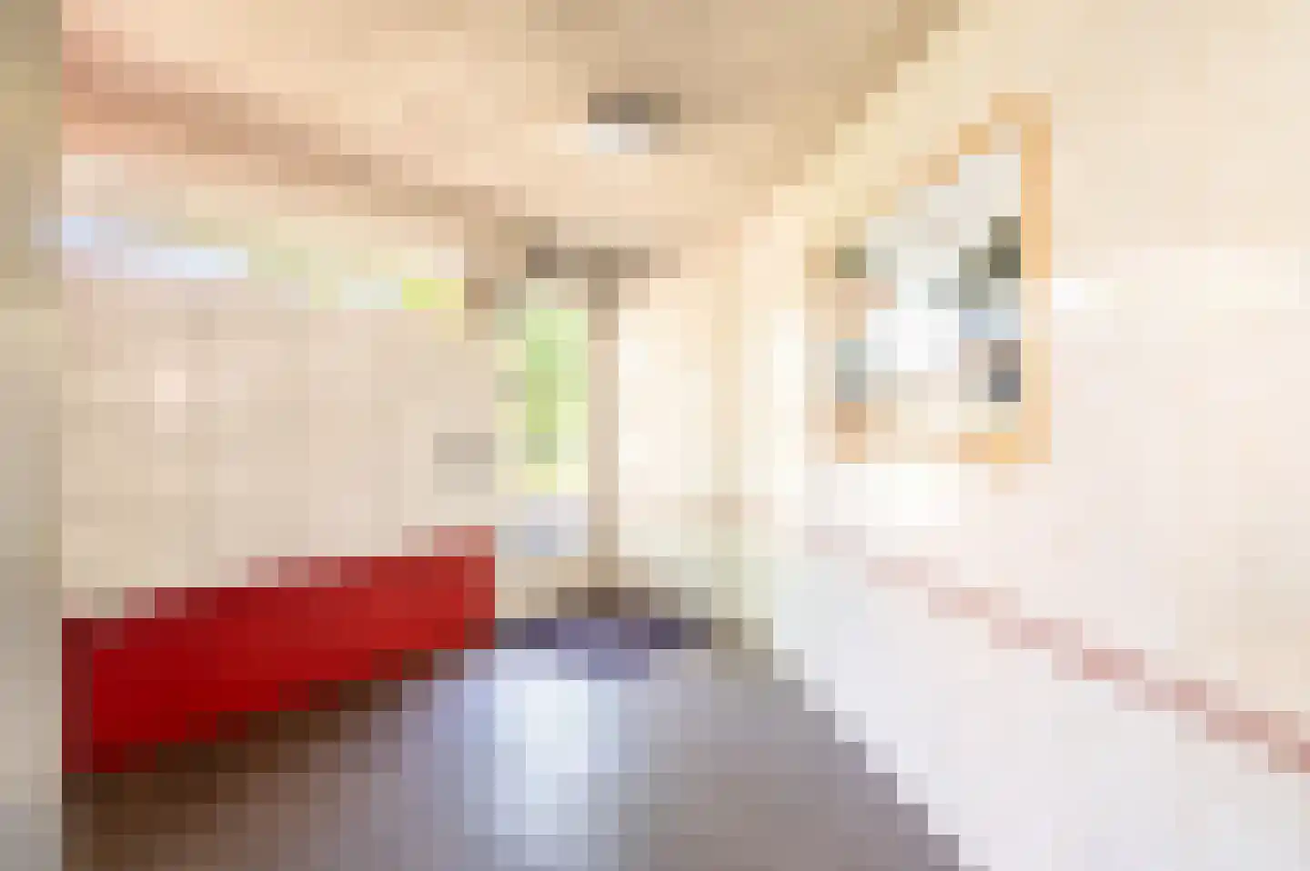 Laan van de Mensenrechten 336 Apeldoorn thumbnail 22