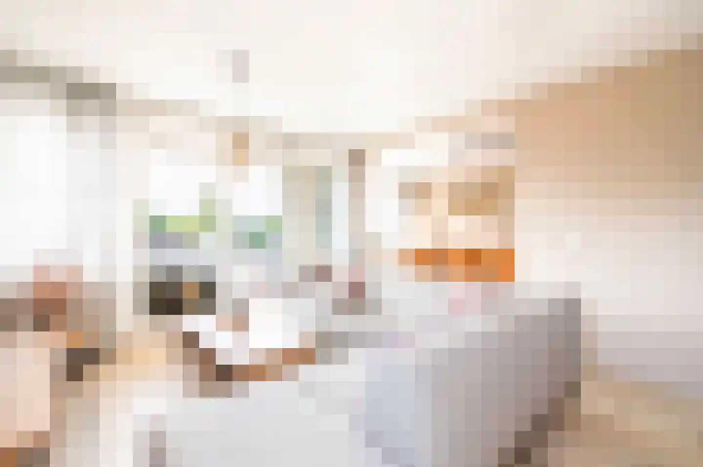 Laan van de Mensenrechten 336 Apeldoorn thumbnail 4