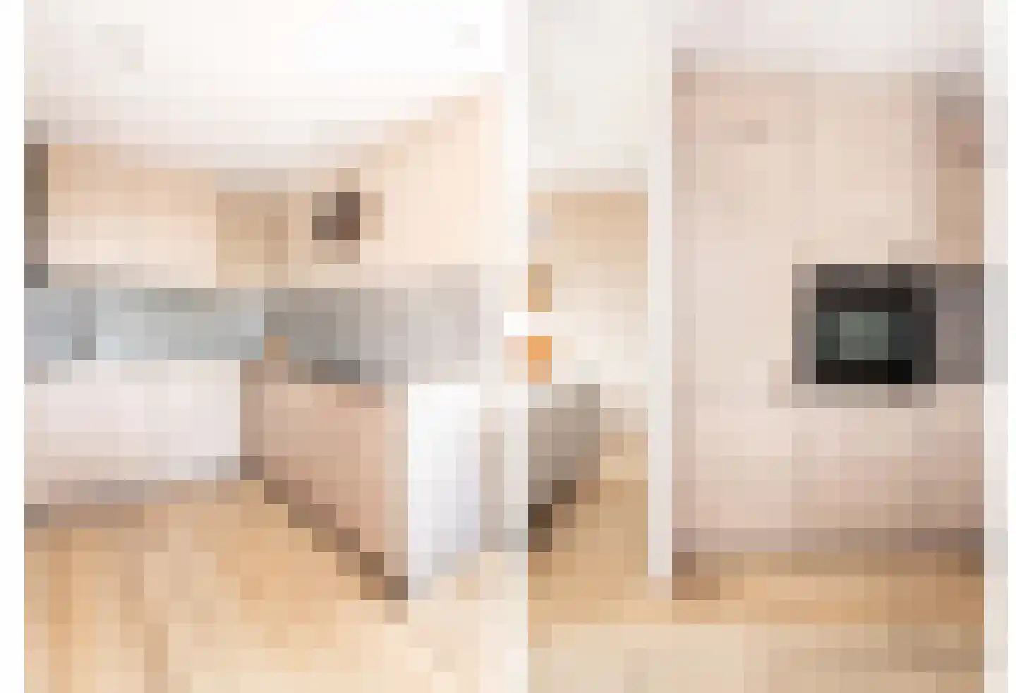 Laan van de Mensenrechten 336 Apeldoorn thumbnail 6