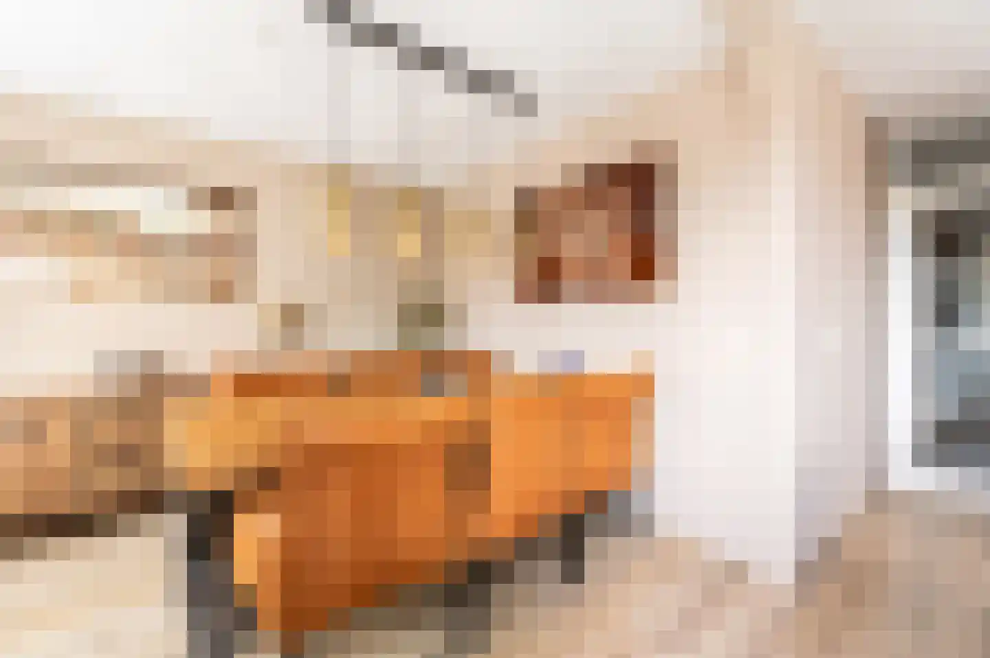 Laan van de Mensenrechten 336 Apeldoorn thumbnail 8