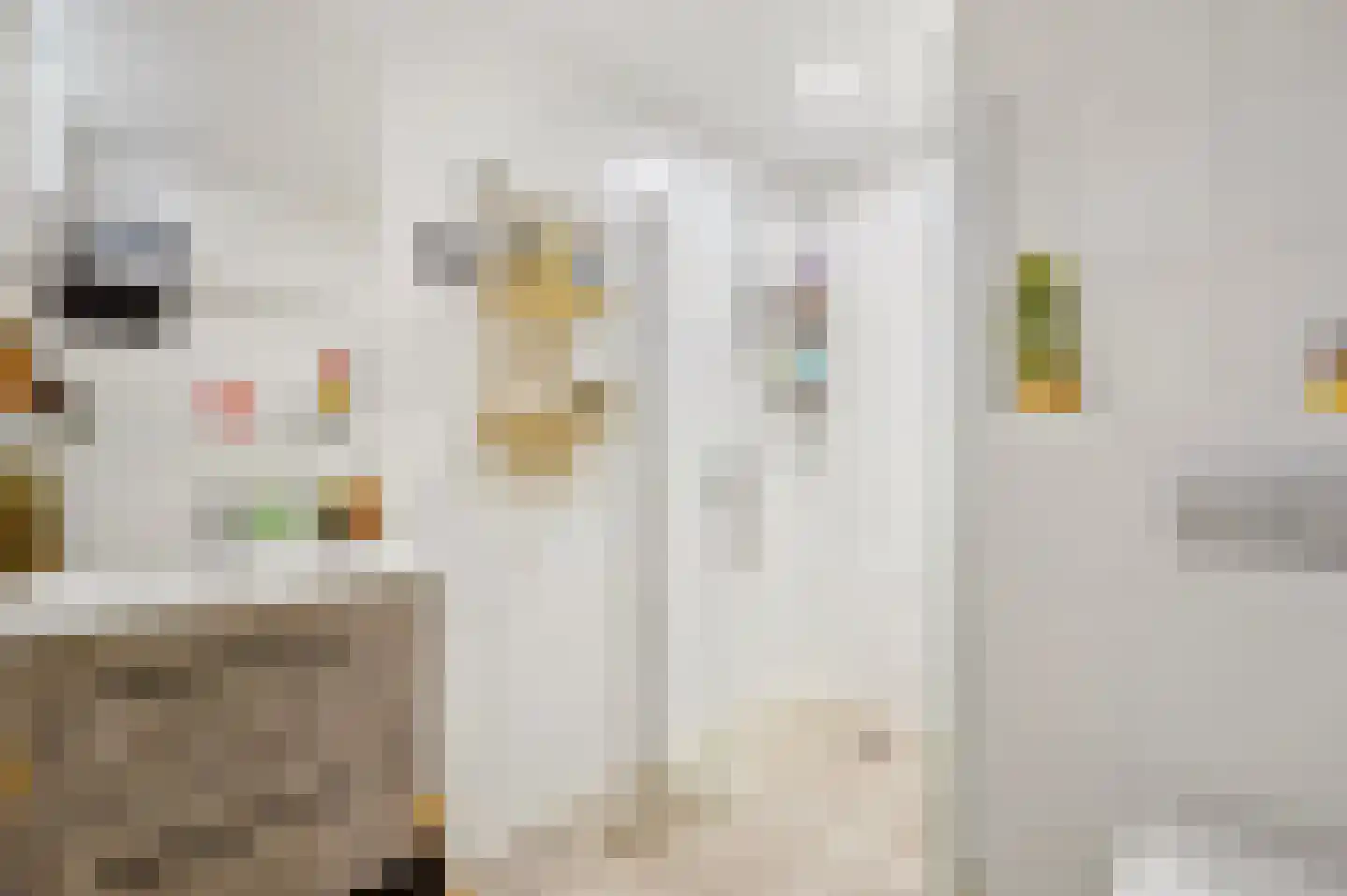 Laan van de Mensenrechten 34 Den Haag thumbnail 12