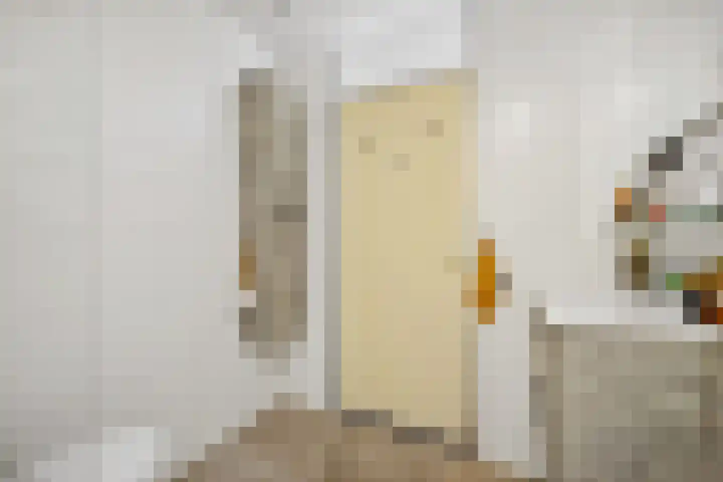 Laan van de Mensenrechten 34 Den Haag thumbnail 13