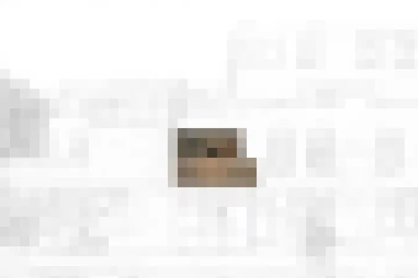 Laan van de Mensenrechten 34 Den Haag thumbnail 19