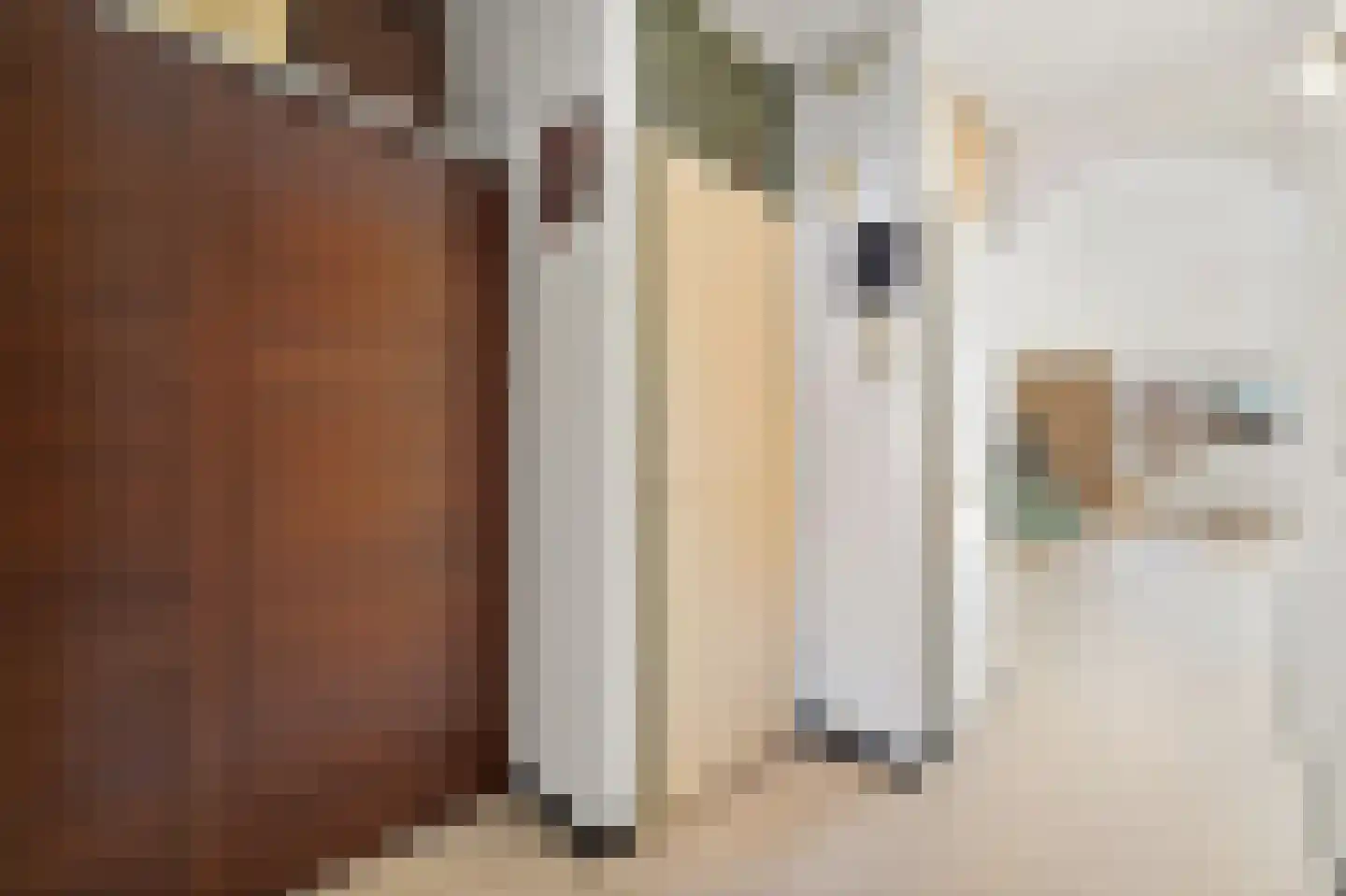 Laan van de Mensenrechten 34 Den Haag thumbnail 7