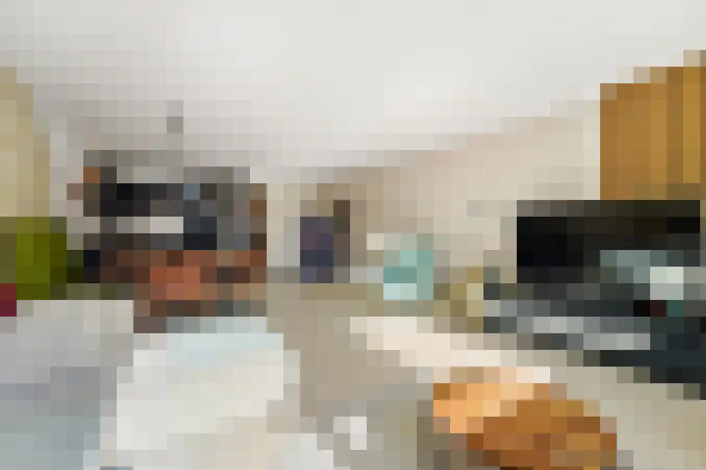 Laan van de Mensenrechten 34 Den Haag thumbnail 8