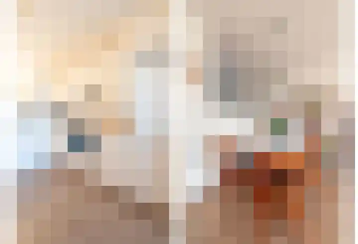 Laan van de Mensenrechten 348 Apeldoorn thumbnail 12