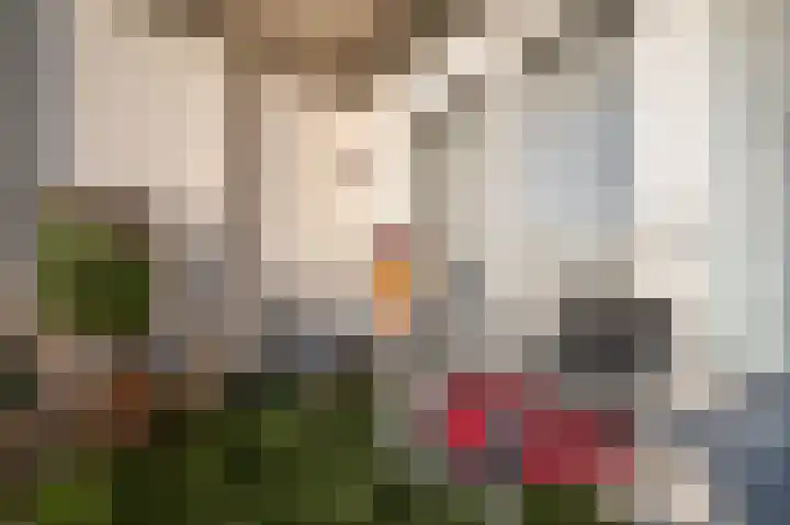 Laan van de Mensenrechten 348 Apeldoorn thumbnail 16