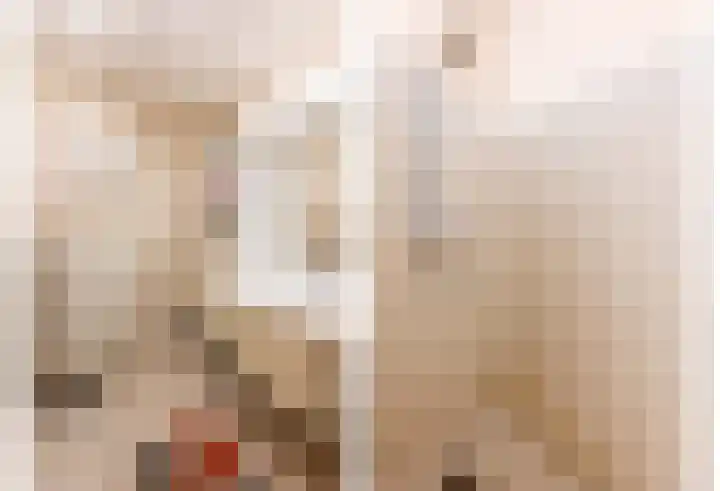 Laan van de Mensenrechten 348 Apeldoorn thumbnail 19