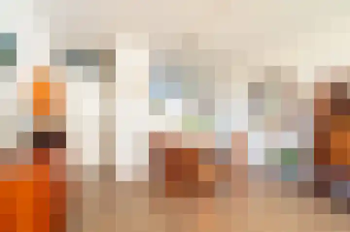 Laan van de Mensenrechten 348 Apeldoorn thumbnail 5