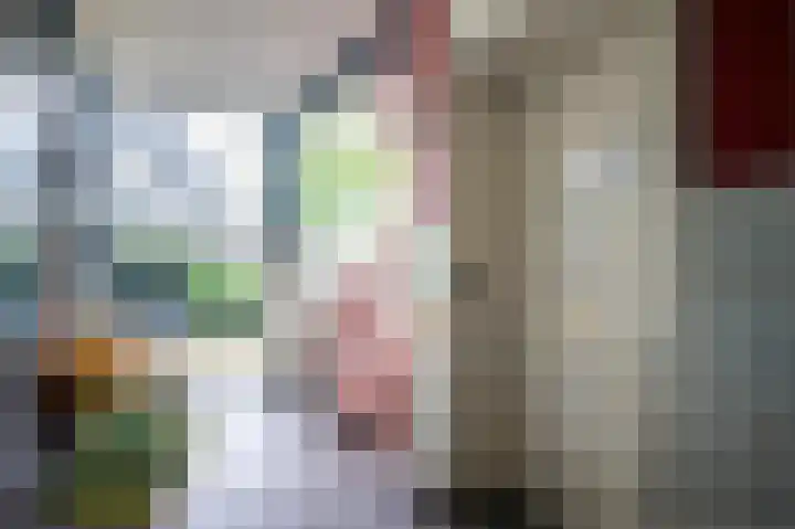 Laan van de Mensenrechten 350 Apeldoorn thumbnail 33
