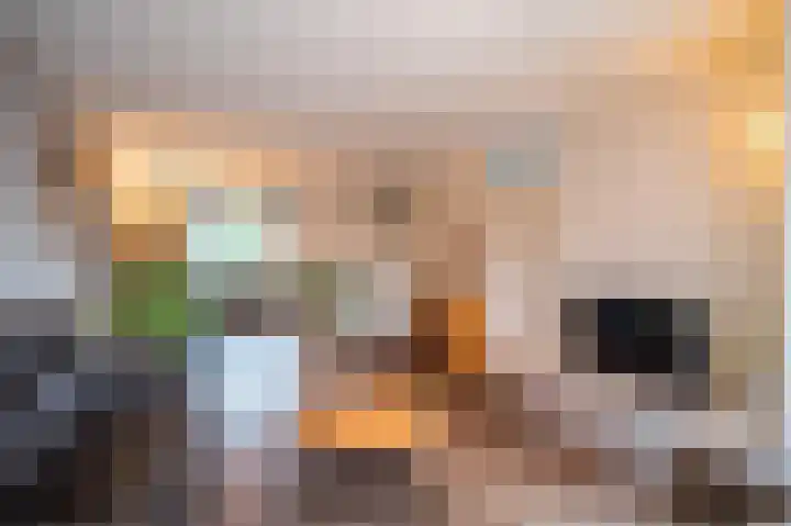 Laan van de Mensenrechten 350 Apeldoorn thumbnail 4