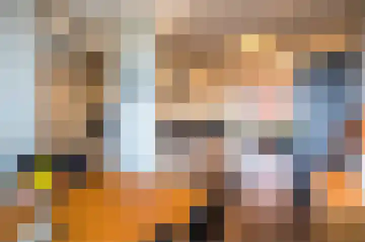 Laan van de Mensenrechten 350 Apeldoorn thumbnail 9