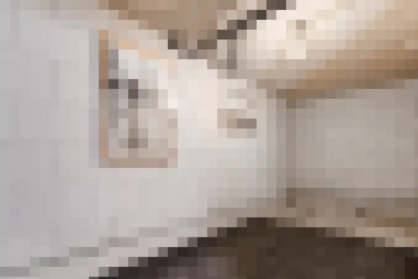 Laan van de Mensenrechten 7 Den Haag thumbnail 18