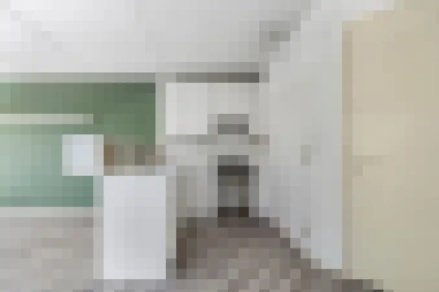 Laan van de Mensenrechten 7 Den Haag thumbnail 7