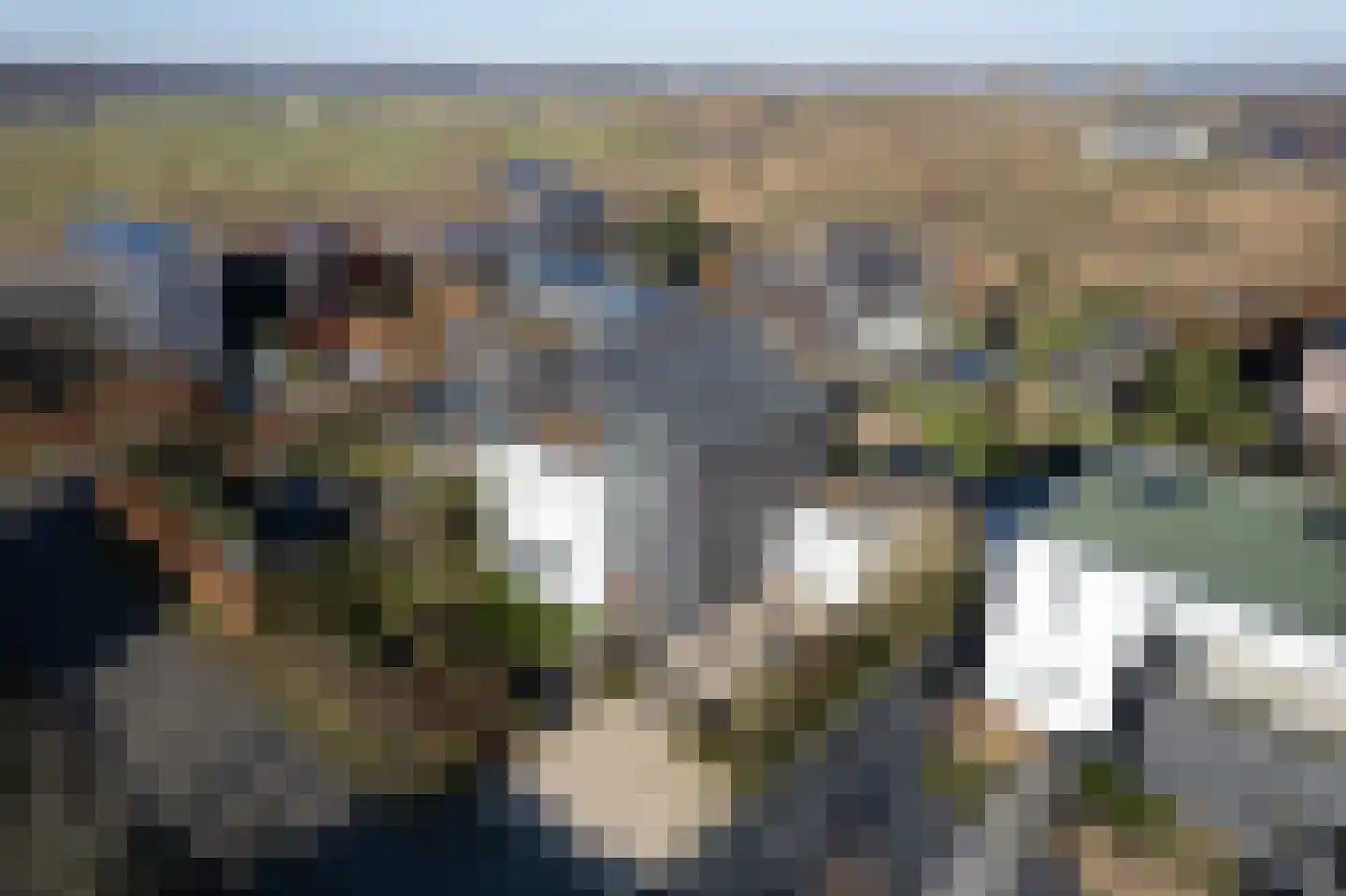 Laan van de Poolse Brigade 6 Arnhem thumbnail 10
