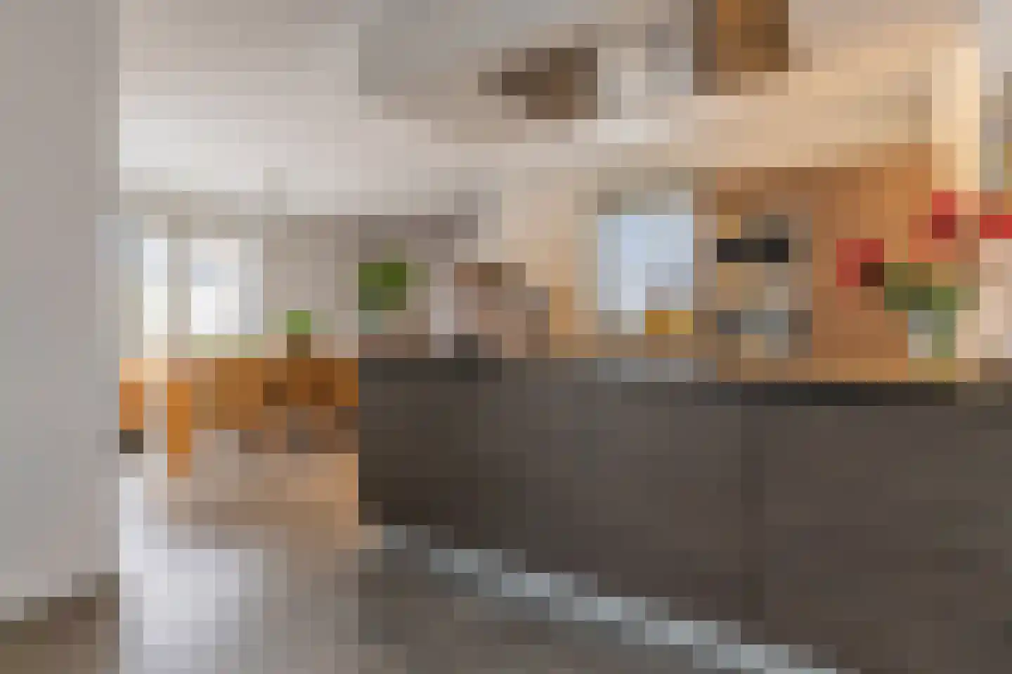 Laan van de Poolse Brigade 6 Arnhem thumbnail 11