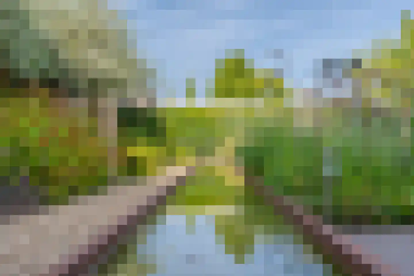 Laan van de Poolse Brigade 6 Arnhem thumbnail 27