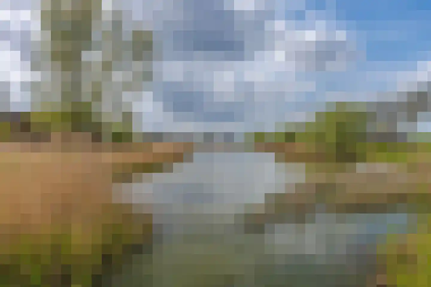 Laan van de Poolse Brigade 6 Arnhem thumbnail 34