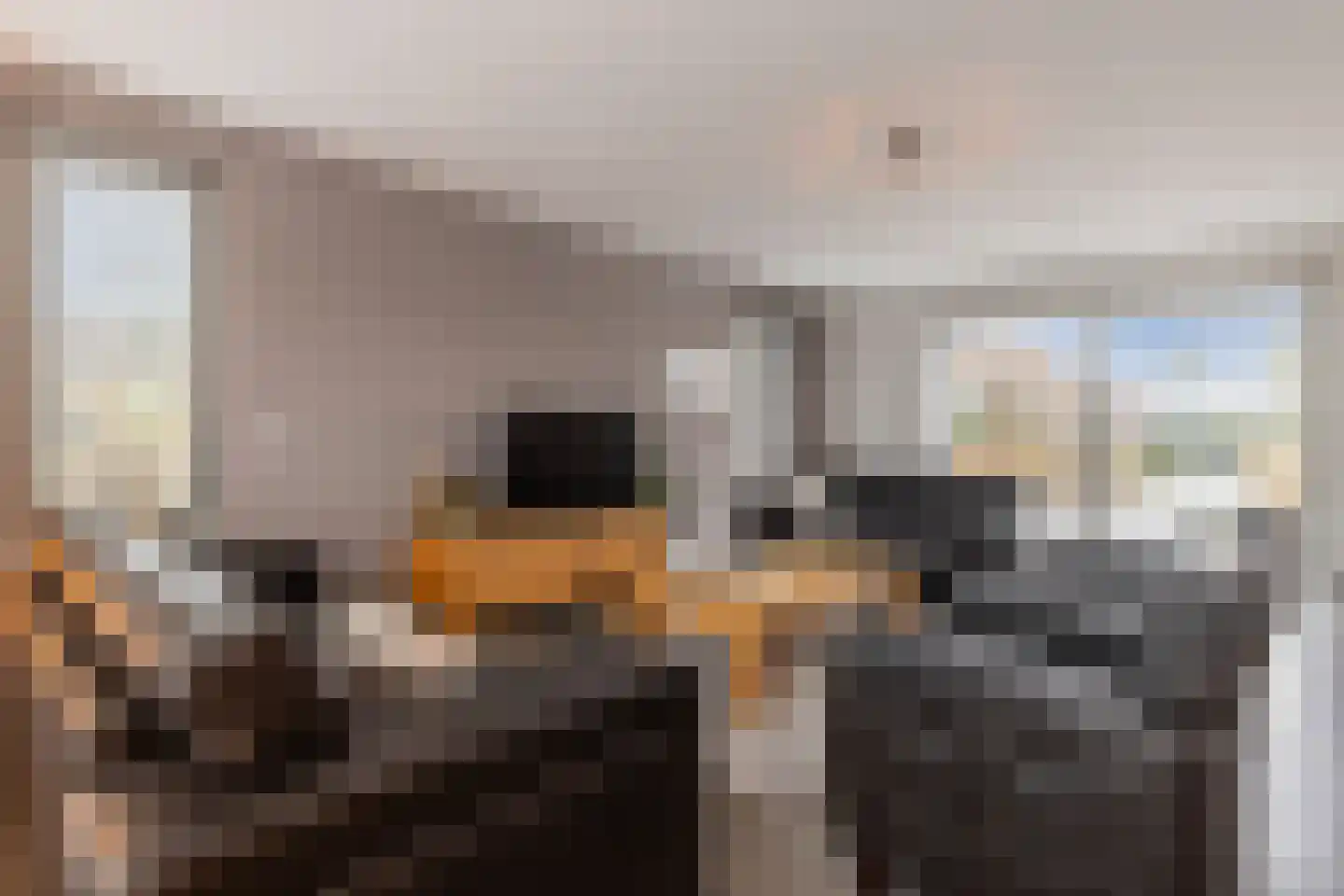 Laan van de Poolse Brigade 6 Arnhem thumbnail 8