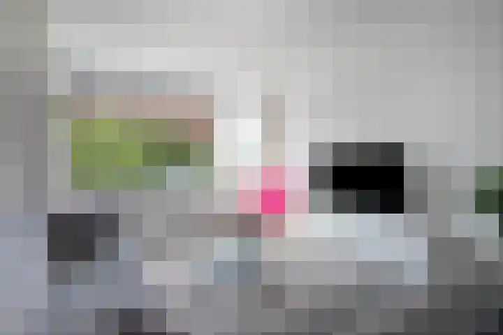 Laan van de Vrede 18 Groningen thumbnail 10