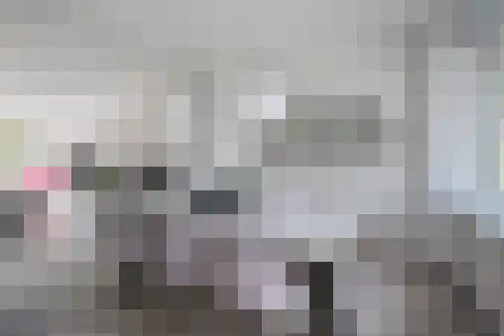 Laan van de Vrede 18 Groningen thumbnail 14